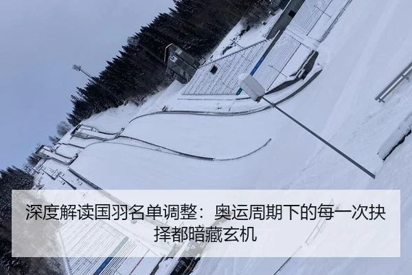 深度解读国羽名单调整：奥运周期下的每一次抉择都暗藏玄机 | ayx